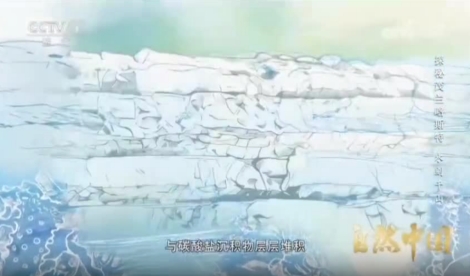 《自然中国之探秘茂兰喀斯特》 第2集 水刻千山